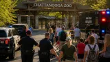 Chattanooga Zoo cleared after afternoon bomb threat; police say call was non-credible