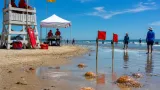 Delaware beaches seeing unusual spike in jellyfish stings as summer heats up