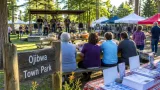 Democrats host ‘Heart of the North’ potluck in Ojibwa as voters-size up candidates