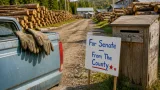 From Maine woods to the Senate ballot: Troy Jackson mounts uphill bid against Susan Collins