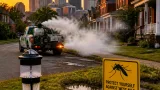 Louisville officials find West Nile–positive mosquitoes in seven neighborhoods; fogging planned