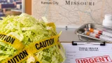 Missouri reports more than 1,000 cyclosporiasis cases as state health officials warn counts are rising