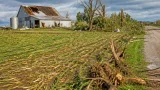 NWS confirms three tornadoes in Ohio; one rated EF-0 with damaged barn, trees