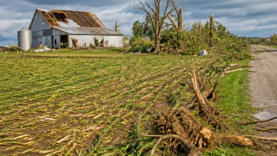 NWS confirms three tornadoes in Ohio; one rated EF-0 with damaged barn, trees